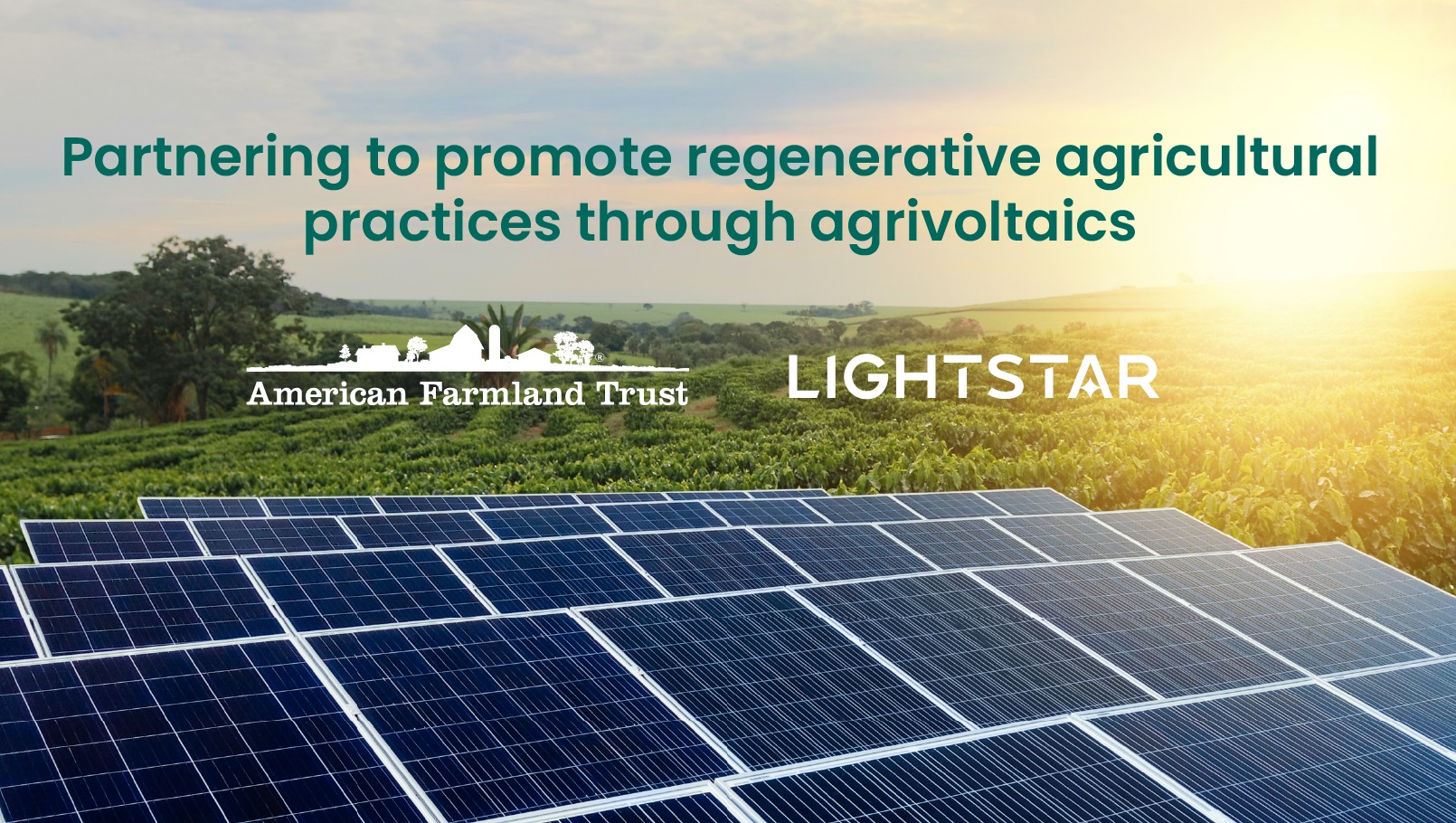 Resource Box Header Lightstar Renewables and American Farmland Trust partner to promote regenerative agricultural practices through agrivoltaics across the US